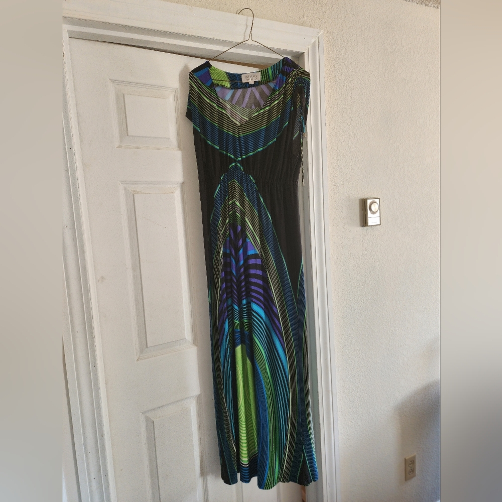A maxi dress. Nikki by Nikki Poulos. Size large. Multi colors.